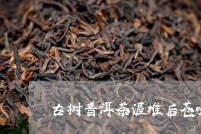 古树普洱茶渥堆后苍味/2023061595958