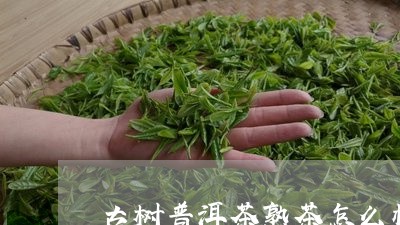 古树普洱茶熟茶怎么样/2023062246949