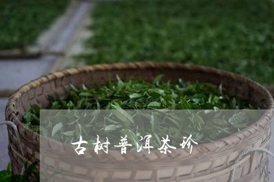 古树普洱茶珍/2023042582772