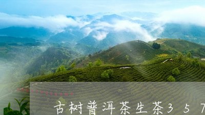 古树普洱茶生茶357克/2023081758594