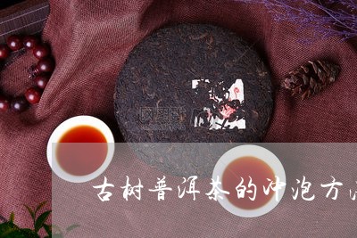 古树普洱茶的冲泡方法视频教程/2023082900615