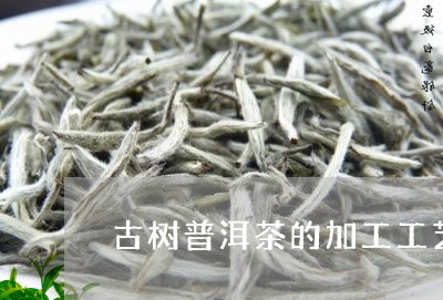 古树普洱茶的加工工艺/2023062472503