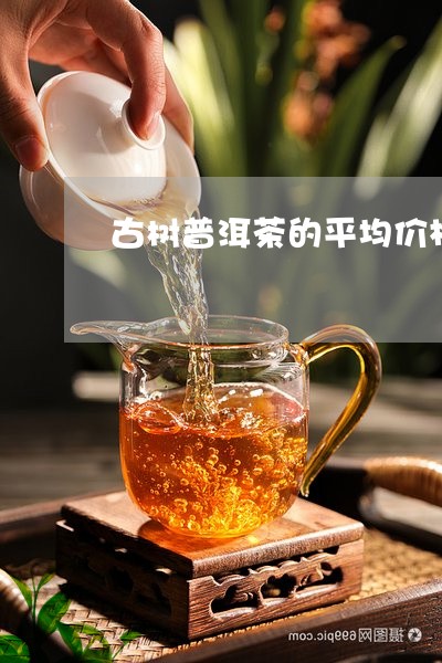 古树普洱茶的平均价格/2023092580815