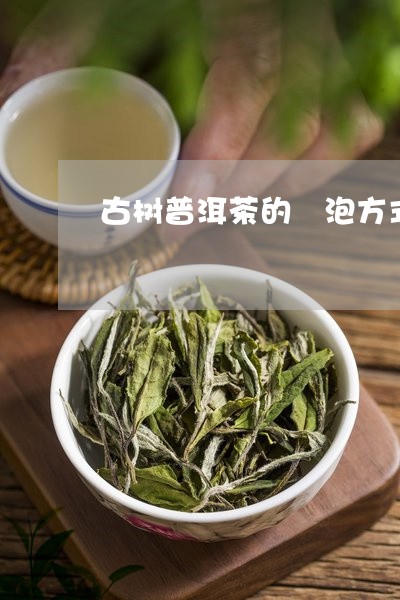 古树普洱茶的沖泡方式/2023061728493