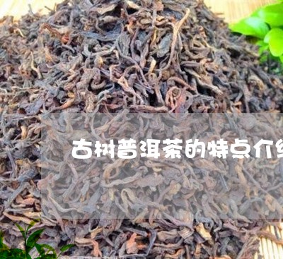 古树普洱茶的特点介绍词/2023110515946