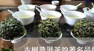 古树普洱茶的著名品牌/2023092671027