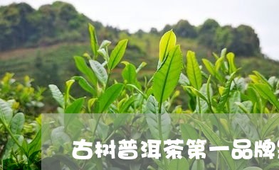 古树普洱茶第一品牌是/2023061411584