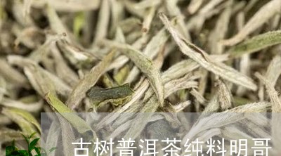 古树普洱茶纯料明哥/2023120574916