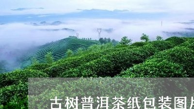 古树普洱茶纸包装图片及价格/2023121560573