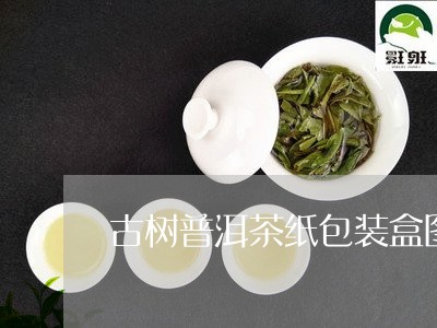 古树普洱茶纸包装盒图片/2023082769491