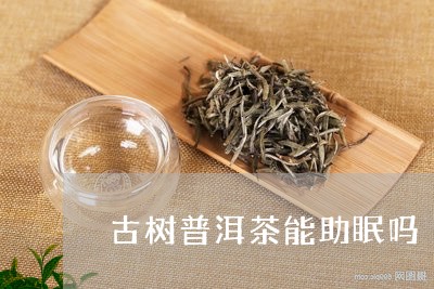 古树普洱茶能助眠吗/2023070968483