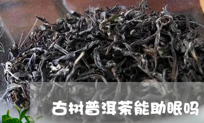 古树普洱茶能助眠吗/2023091598581