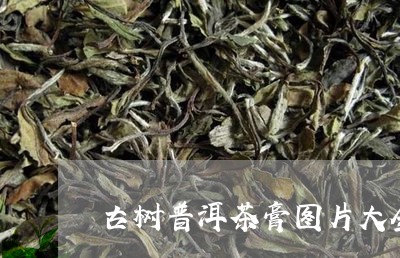 古树普洱茶膏图片大全/2023092913716