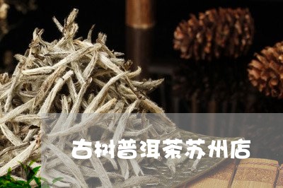 古树普洱茶苏州店/2023120439728