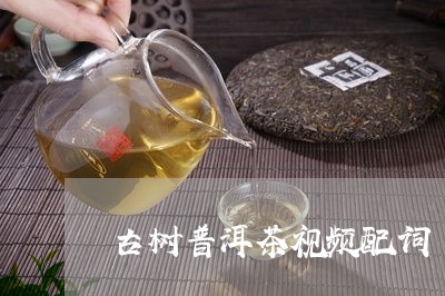 古树普洱茶视频配词/2023071052715