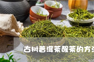 古树普洱茶醒茶的方法/2023062355150