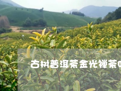 古树普洱茶金光禅茶叶2017年/2023060205150