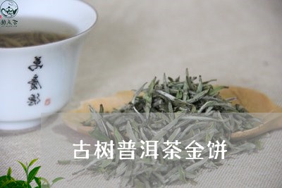 古树普洱茶金饼/2023112641526