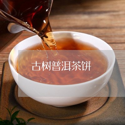 古树普洱茶饼/2023042927457