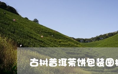 古树普洱茶饼包装图样图片/2023082991914