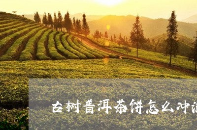 古树普洱茶饼怎么冲泡/2023062214038