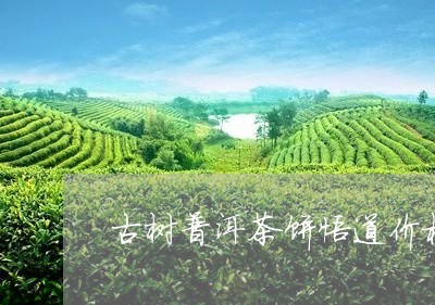 古树普洱茶饼悟道价格/2023062471694