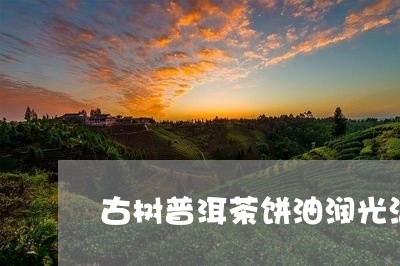 古树普洱茶饼油润光洁/2023092714057