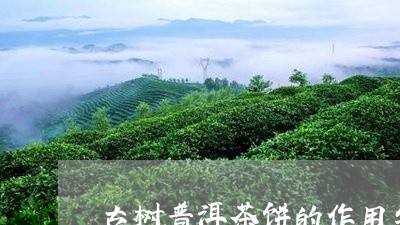 古树普洱茶饼的作用与功效/2023082953037