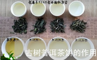 古树普洱茶饼的作用与功效/2023121541594