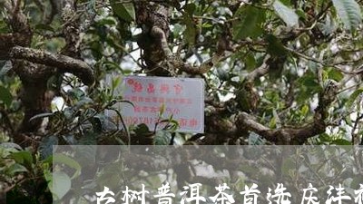 古树普洱茶首选庆沣祥/2023061714057