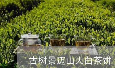 古树景迈山大白茶饼/2023071609362