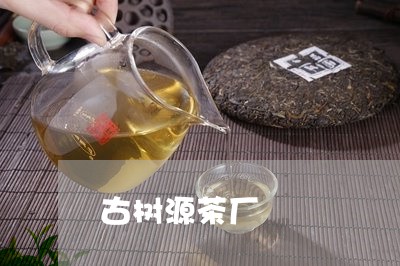 古树源茶厂/2023041895971