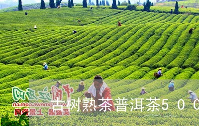 古树熟茶普洱茶500g/2023102516269