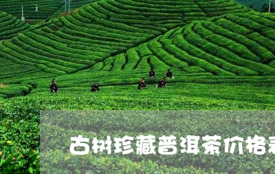 古树珍藏普洱茶价格表/2023061607270