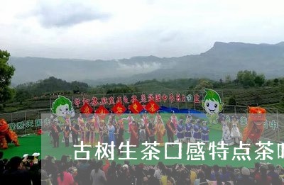 古树生茶口感特点茶叶的形状及名称/2023060411805