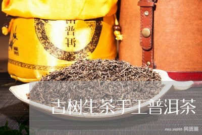 古树生茶手工普洱茶/2023081697150