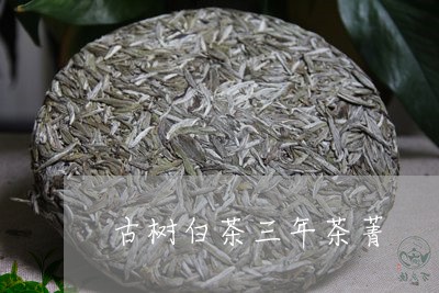 古树白茶三年茶菁/2023061530018