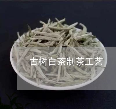 古树白茶制茶工艺/2023061576360