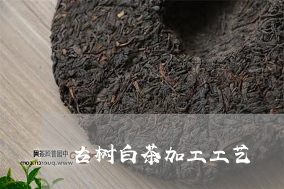 古树白茶加工工艺/2023061516369