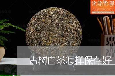 古树白茶怎样保存好/2023071520370