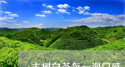 古树白茶每一泡口感/2023071601726