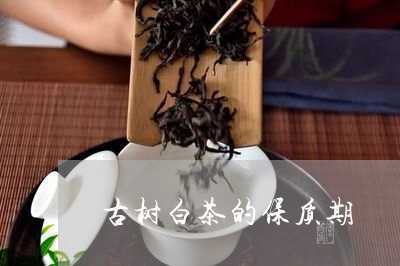 古树白茶的保质期/2023061554051