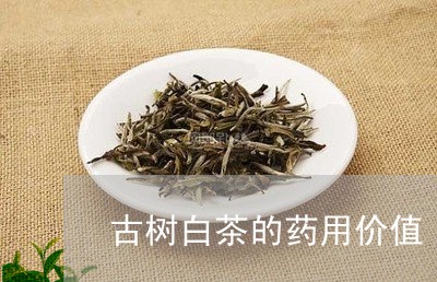 古树白茶的药用价值/2023081314958