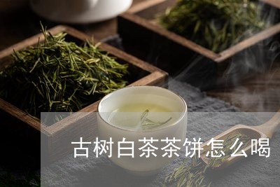 古树白茶茶饼怎么喝/2023121770503