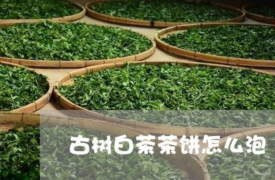 古树白茶茶饼怎么泡/2023081300814