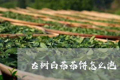 古树白茶茶饼怎么泡/2023121736048