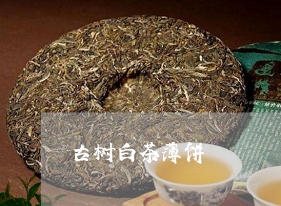 古树白茶薄饼/2023051300605