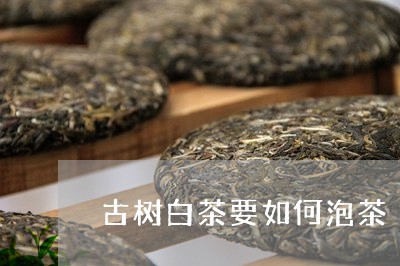 古树白茶要如何泡茶/2023121781693