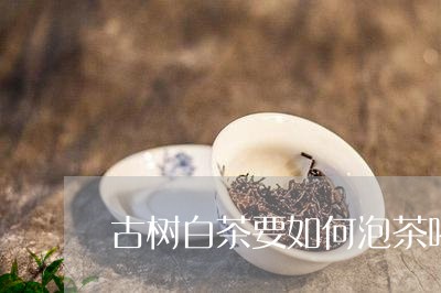 古树白茶要如何泡茶喝好/2023073005835