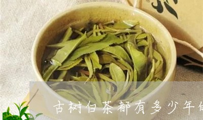 古树白茶都有多少年的历史/2023082574358